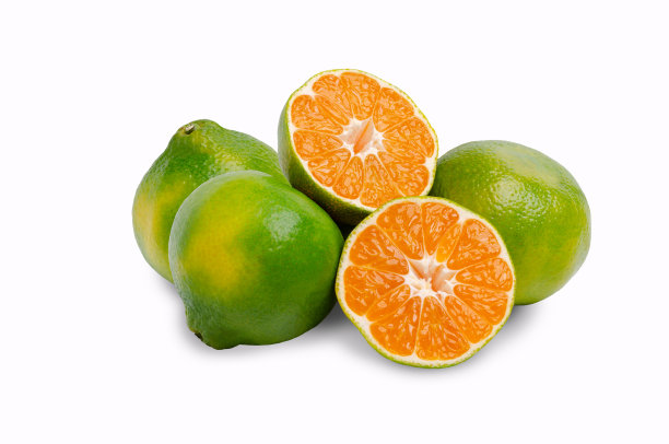 绿色原始橘子图片下载