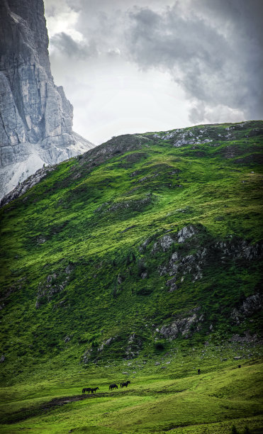 Giau步骤图片下载