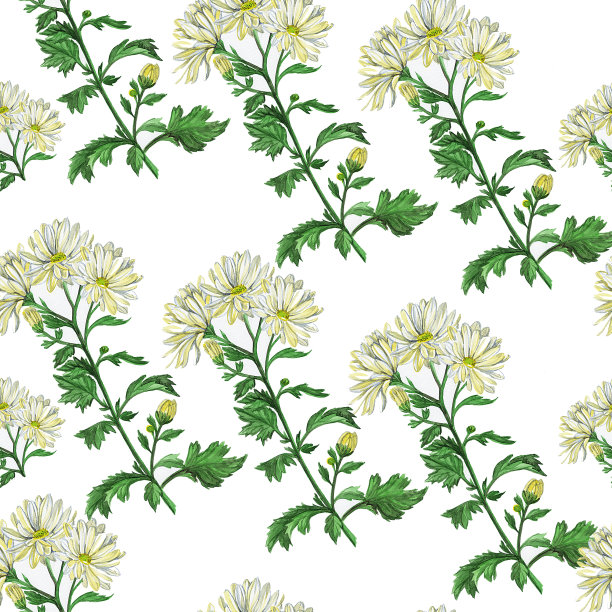 菊花图案图片下载