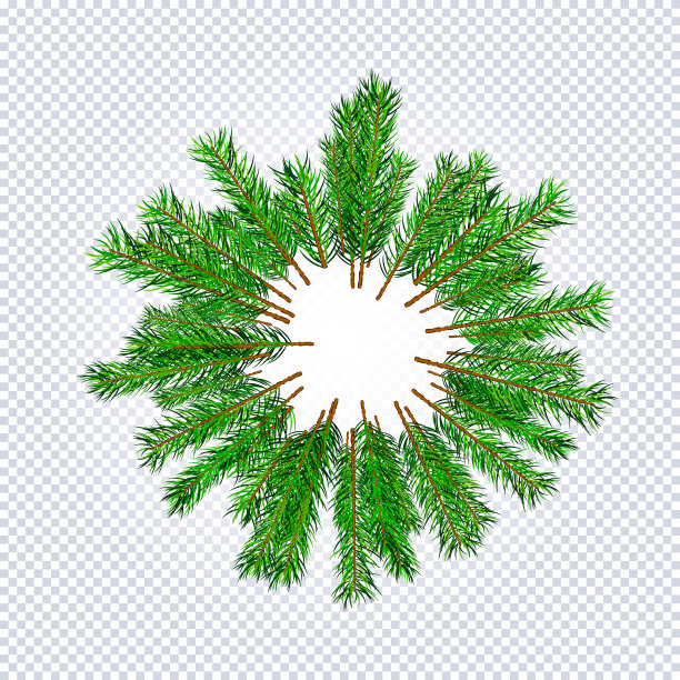 框架圣诞树冷杉枝图案图片下载