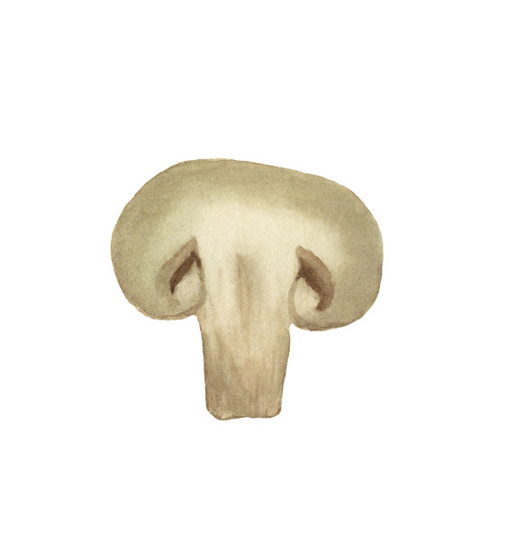 水彩插图切香槟图片下载