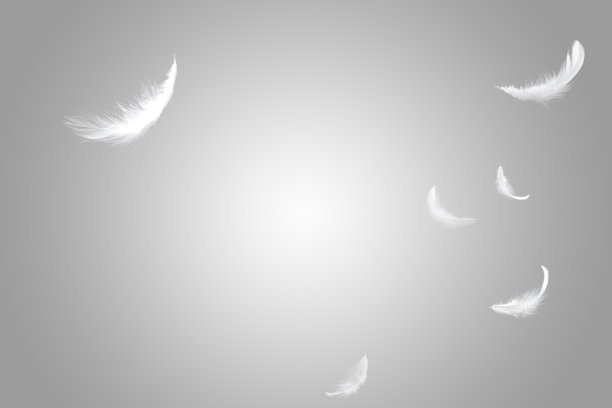 柔软的白色羽毛漂浮在空中图片下载