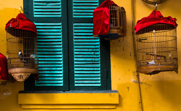 笼子里,颜色,河内图片下载