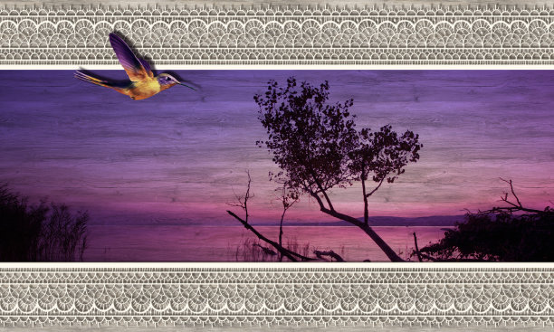 日出，鸟，自然在木头的背景图片下载