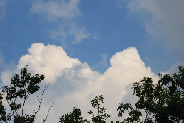 蓝天映衬着云，下面有树，云像山一样图片下载
