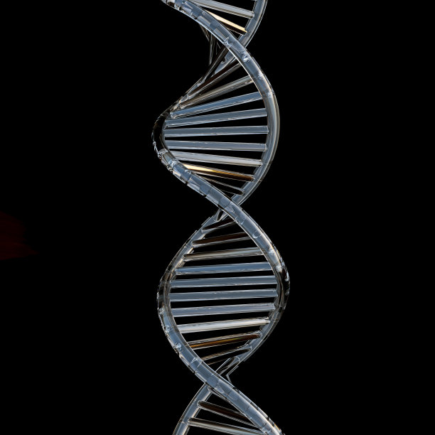 DNA链螺旋状菱形透明材料，孤立在黑色背景上，基因工程概念，研究，3d渲染，3d插图图片下载