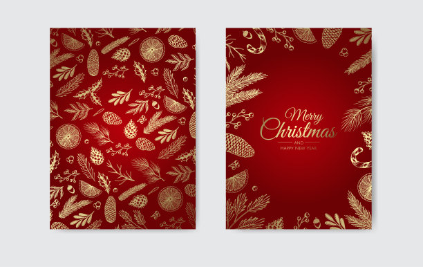 圣诞框架与冬季植物。植物插图。图片下载