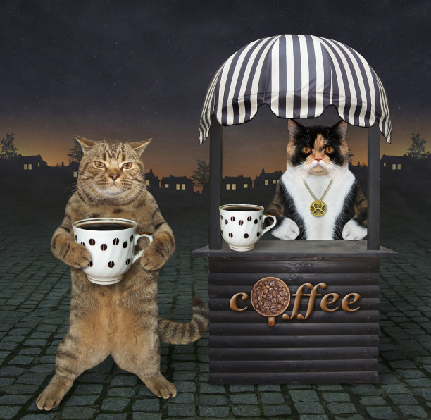 猫在夜街2买咖啡图片下载