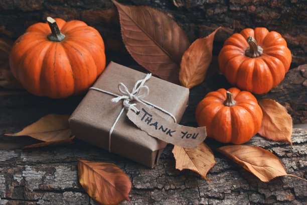 感恩节图片下载