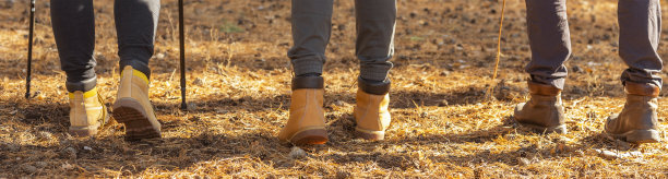 全景式的游客徒步在树林图片下载