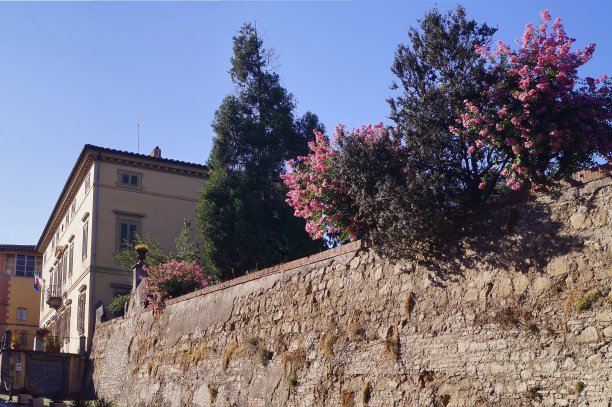 博吉奥·卡亚诺美第奇别墅公园的墙壁图片下载