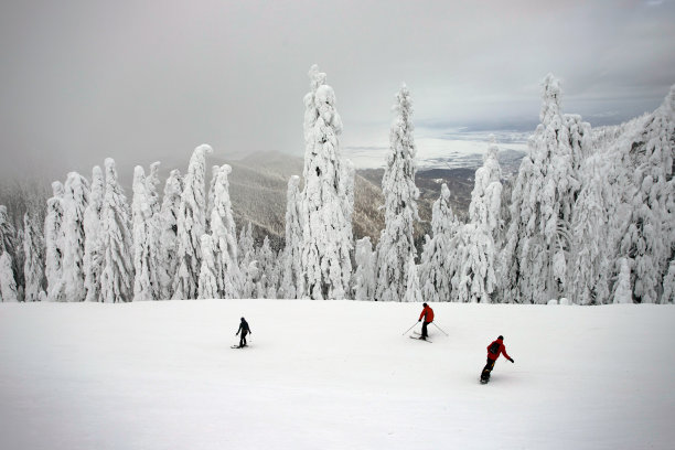 冬季假期，人们在斜坡上滑雪图片下载