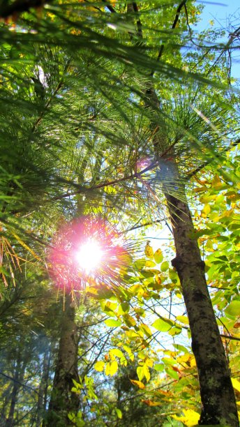 色彩缤纷的季节。图片下载