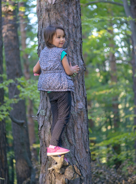 小女孩在森林里爬上一棵树图片下载