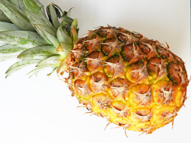 菠萝1图片下载