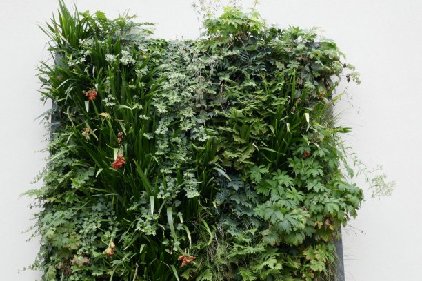 生活墙图片下载