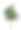 孤立的树木在白色的背景，收集的树木。图片下载