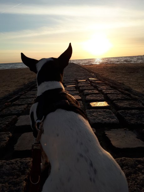 看北海图片下载