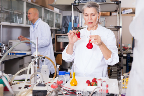 女性遗传学家用水果和蔬菜做实验图片下载