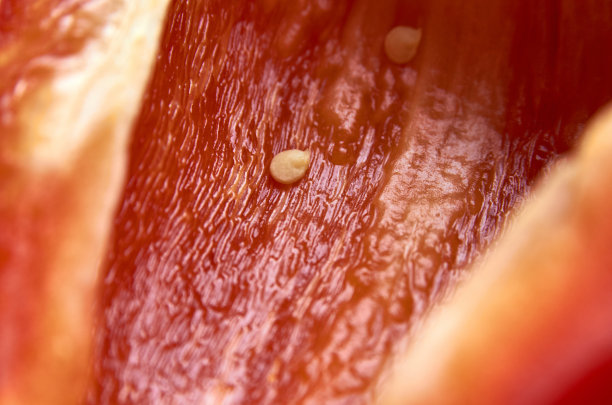 红辣椒切成两半图片下载