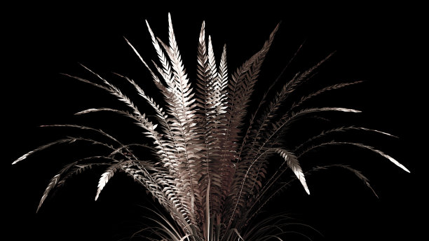 金花纸草。3d渲染，3d渲染。图片下载