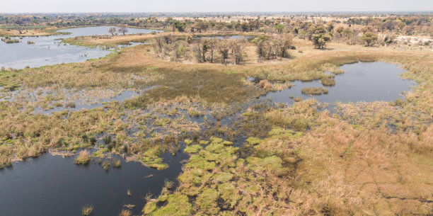 奥卡万戈三角洲(博茨瓦纳)图片下载