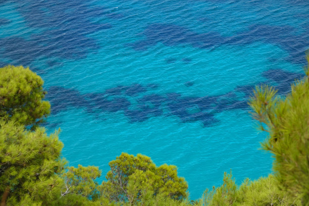 夏天，芬芳的绿色植物和五彩缤纷的海洋是美丽的景色。图片下载