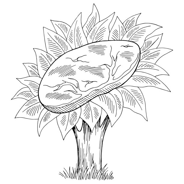 植物素肉生态食物树图形黑白孤立素描插图向量图片下载