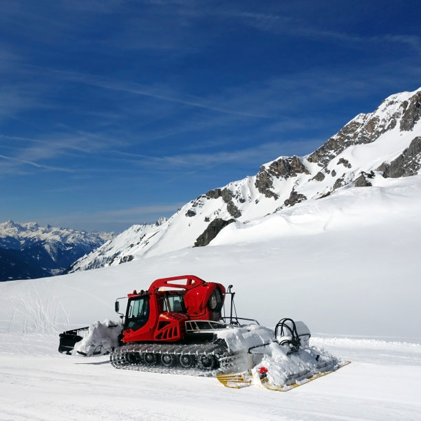雪美容师图片下载