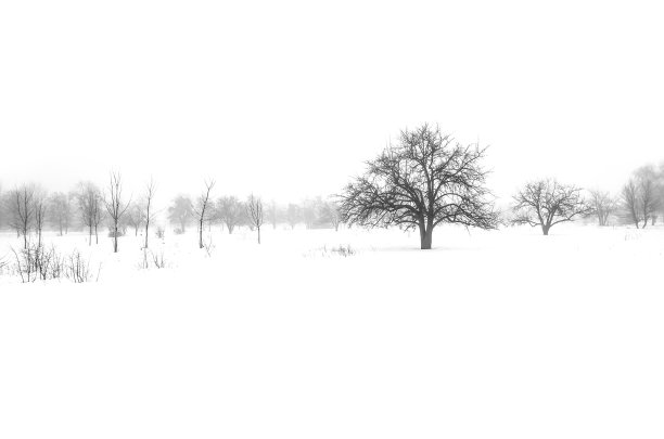 冬天的风景图片下载