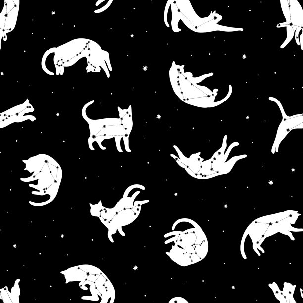 无缝的宇宙图案与星座和猫在黑色的背景图片下载