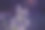 抽象的微距照片与水滴和花卉在花园里。神奇的夜晚花背景与背光。图片下载