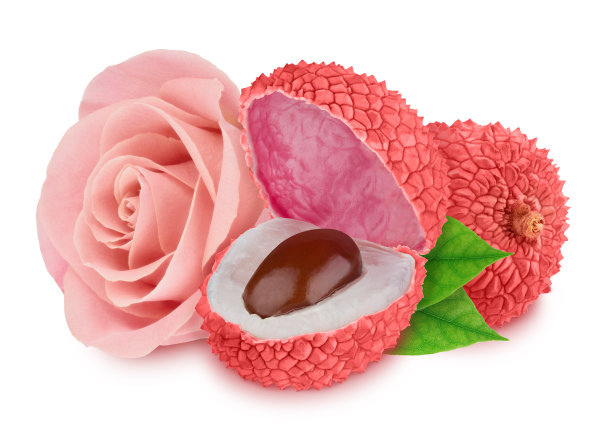 柔嫩的粉红色组成，荔枝和玫瑰花孤立在白色的背景和修剪路径。图片下载