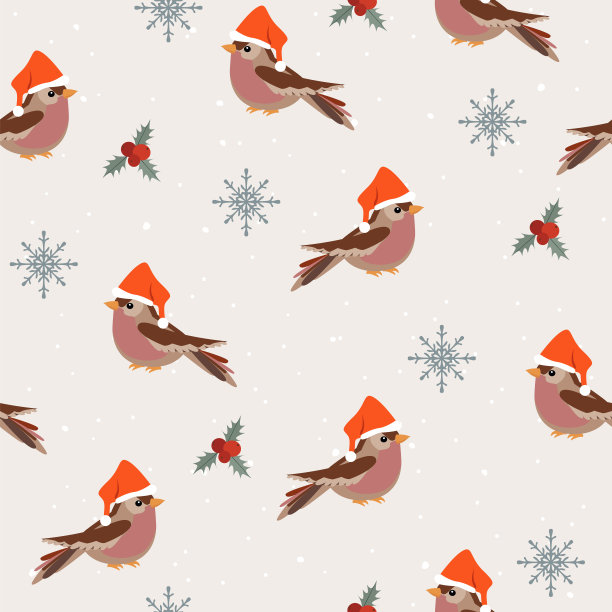 无缝的冬天图案与雪花和鸟在圣诞帽。图片下载