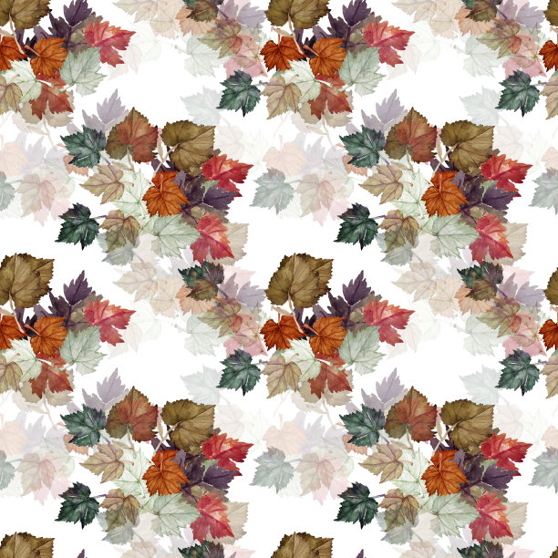 葡萄叶图片下载