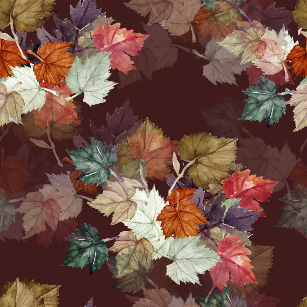 葡萄叶图片下载