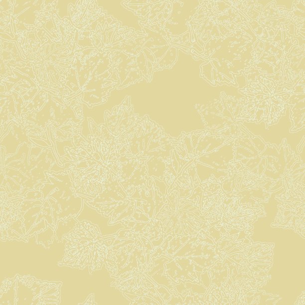 葡萄叶图片下载