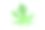 木瓜叶与水滴孤立在白色背景与修剪路径。图片下载