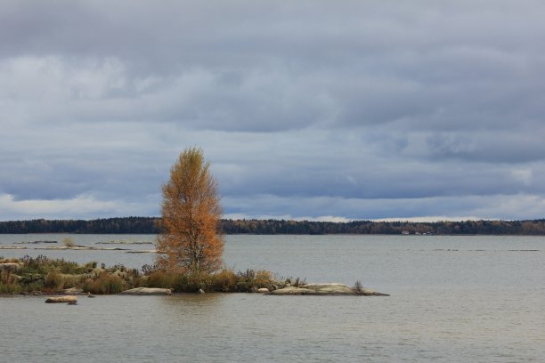 瑞典凡恩湖岸边小岛上的一棵孤零零的树。图片下载
