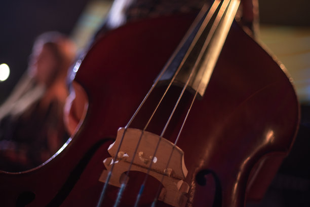 大提琴图片下载