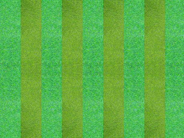 绿色草地运动足球图片下载