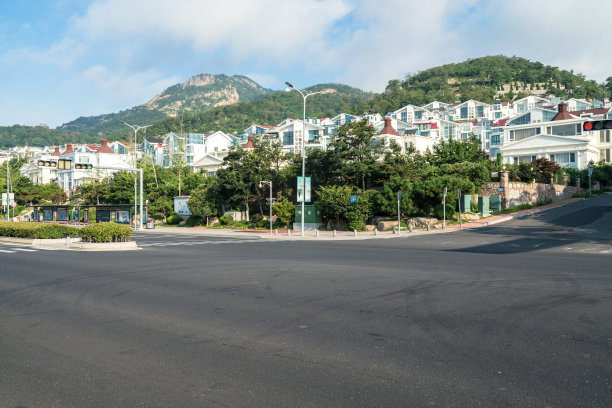 高速公路和茂密的森林，户外，青岛，中国图片下载