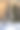 装饰圣诞树的树枝覆盖着雪图片下载