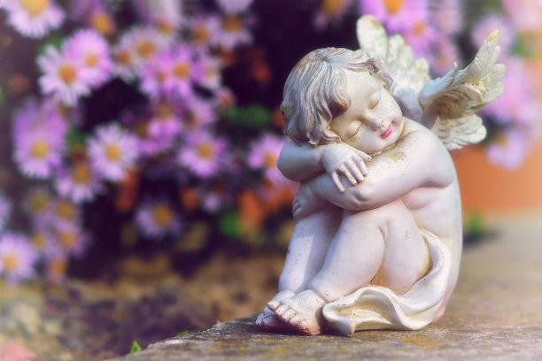 守护天使和粉红色的秋花图片下载