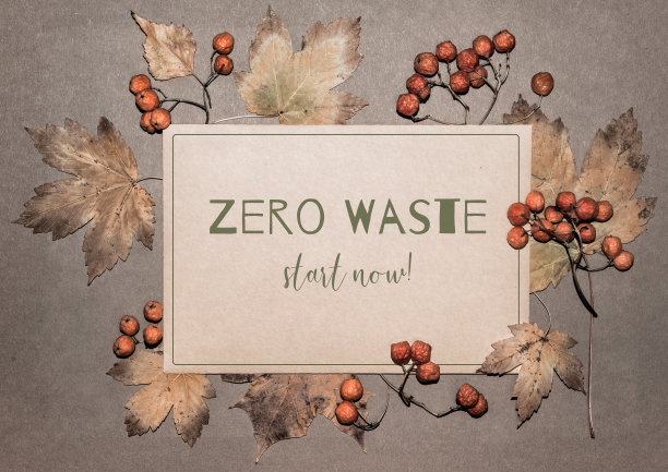 不需要回收的天然季节性装饰。在回收的纸卡上写“零浪费，现在就开始!”在纹理纸背景上的秋叶和花楸浆果。图片下载