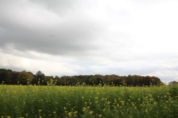沃尔肯格图像图片下载