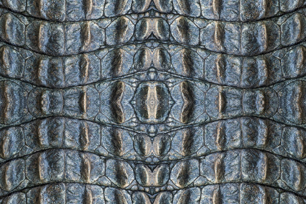 鳄鱼皮图案为背景。图片下载