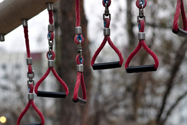 秋季城市公园的运动模拟器图片下载