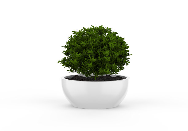 空白陶瓷花盆模拟孤立的白色背景，3d插图图片下载