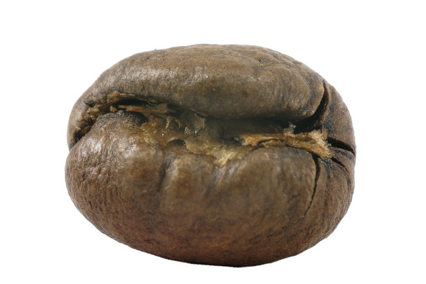 咖啡豆图片下载